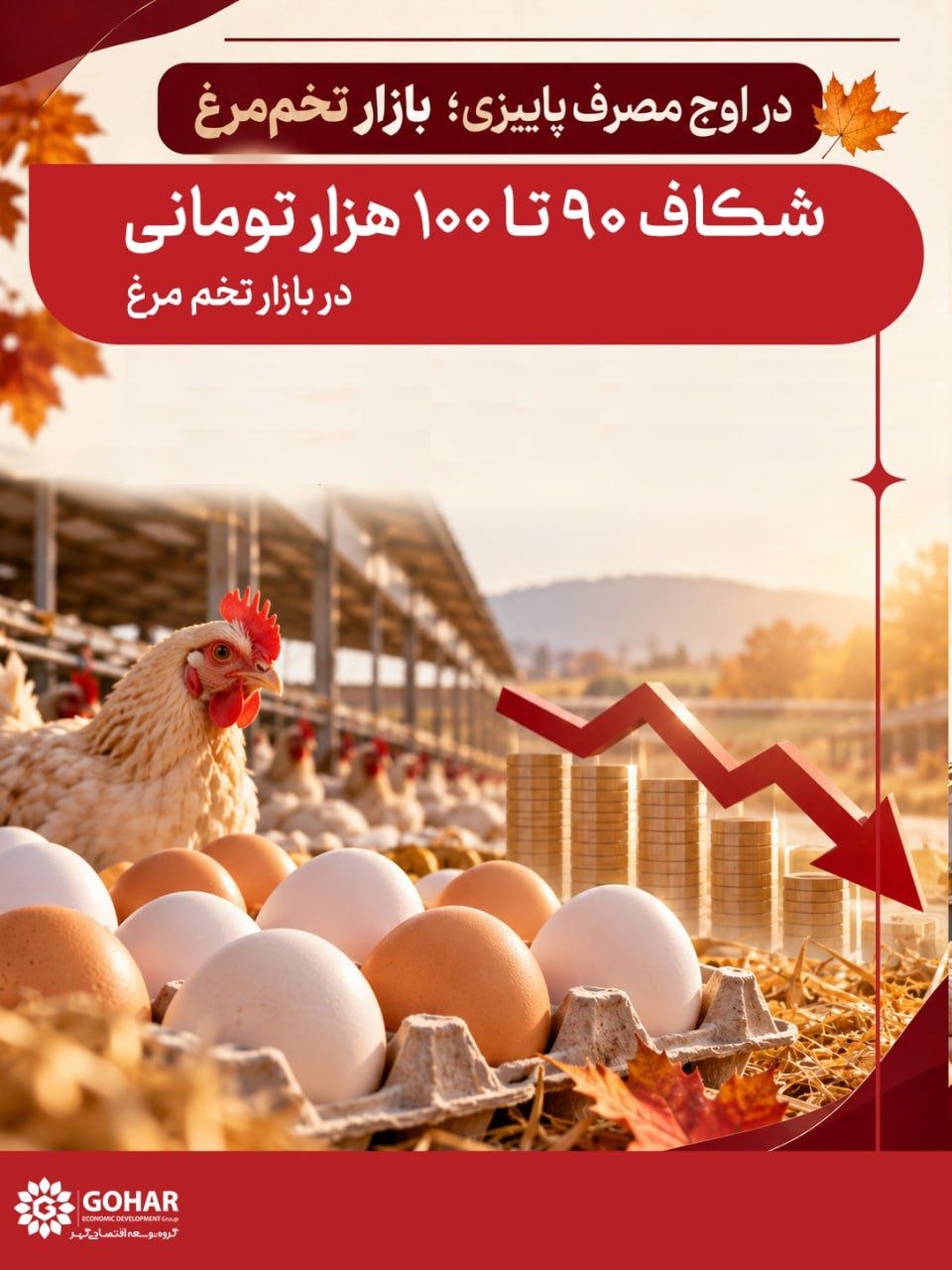 قیمت تخم مرغ در بازار