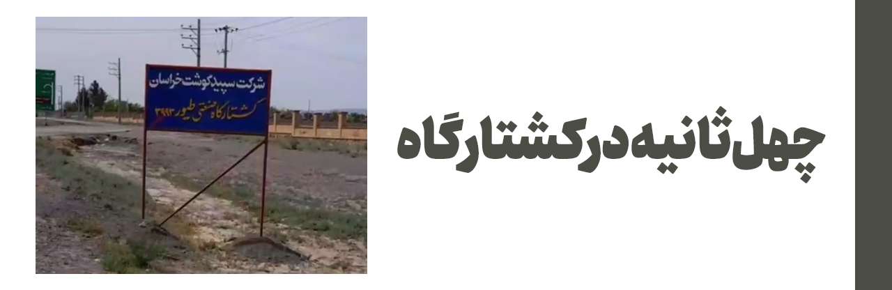 چهل ثانیه درکشتارگاه
