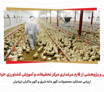 roydad-markaz-tahghighat