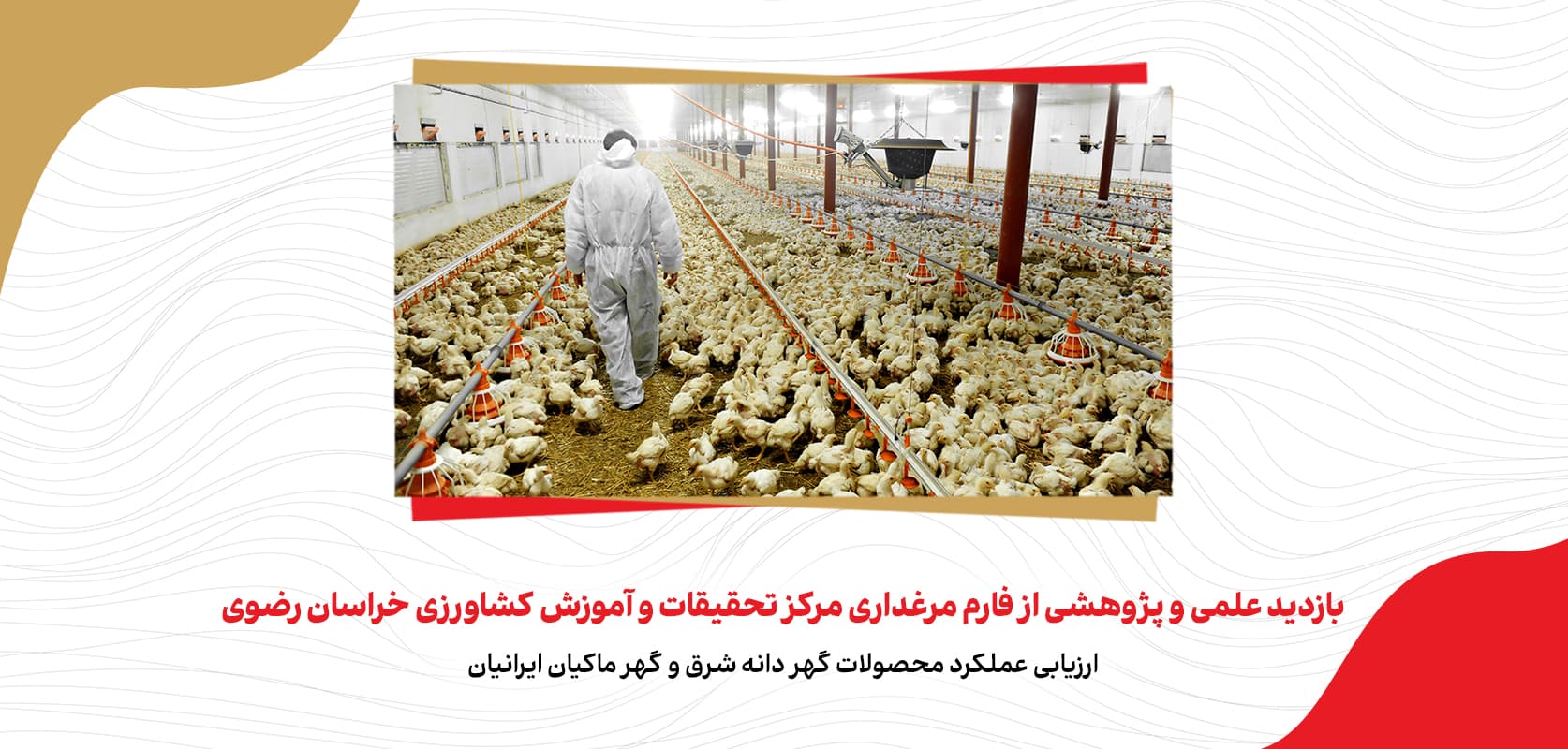roydad-markaz-tahghighat