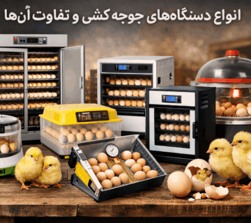 Types of incubators